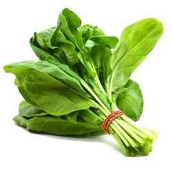 Palak