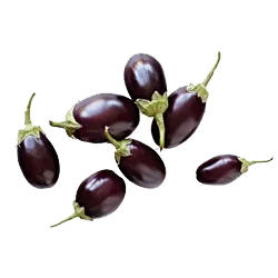 Indian Baby Eggplant